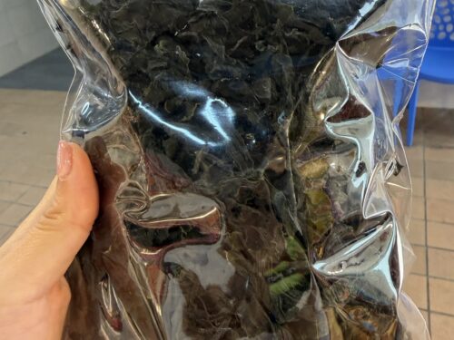 天然的海帶芽