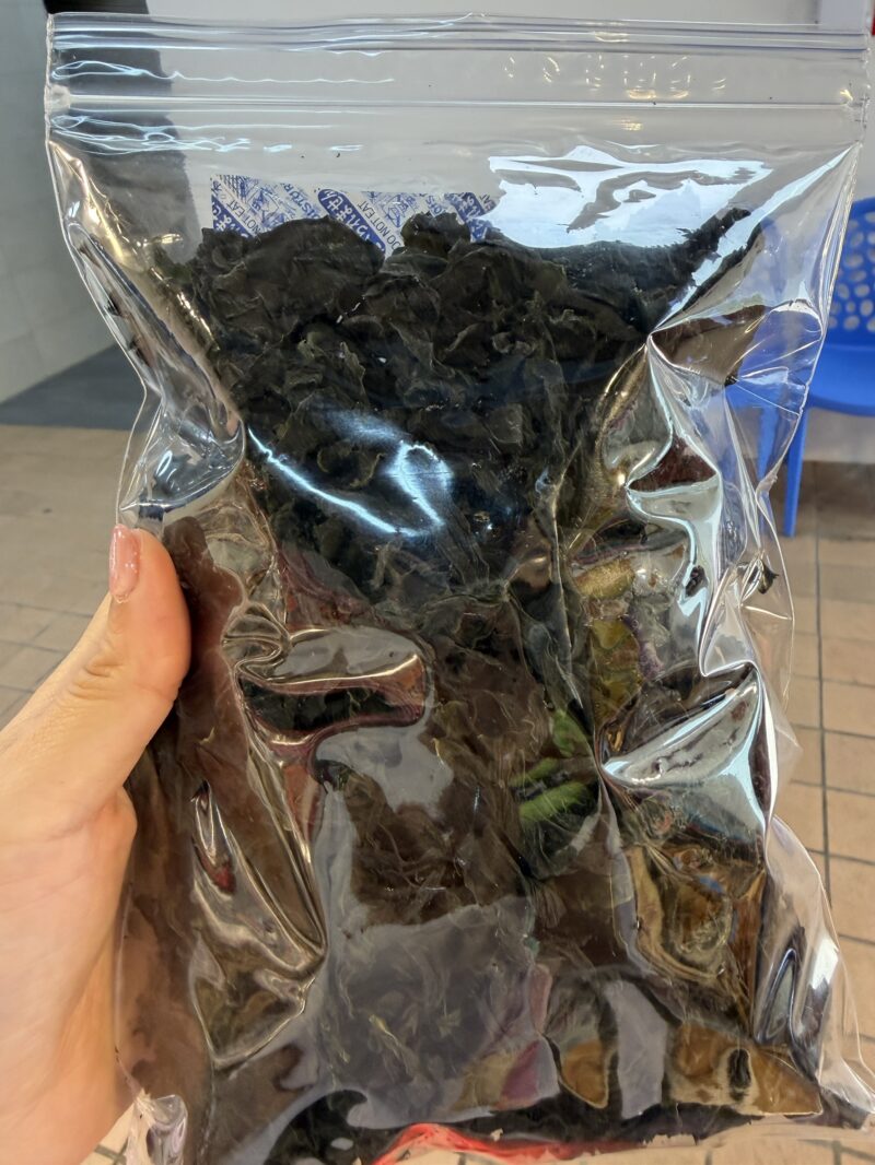 天然的海帶芽