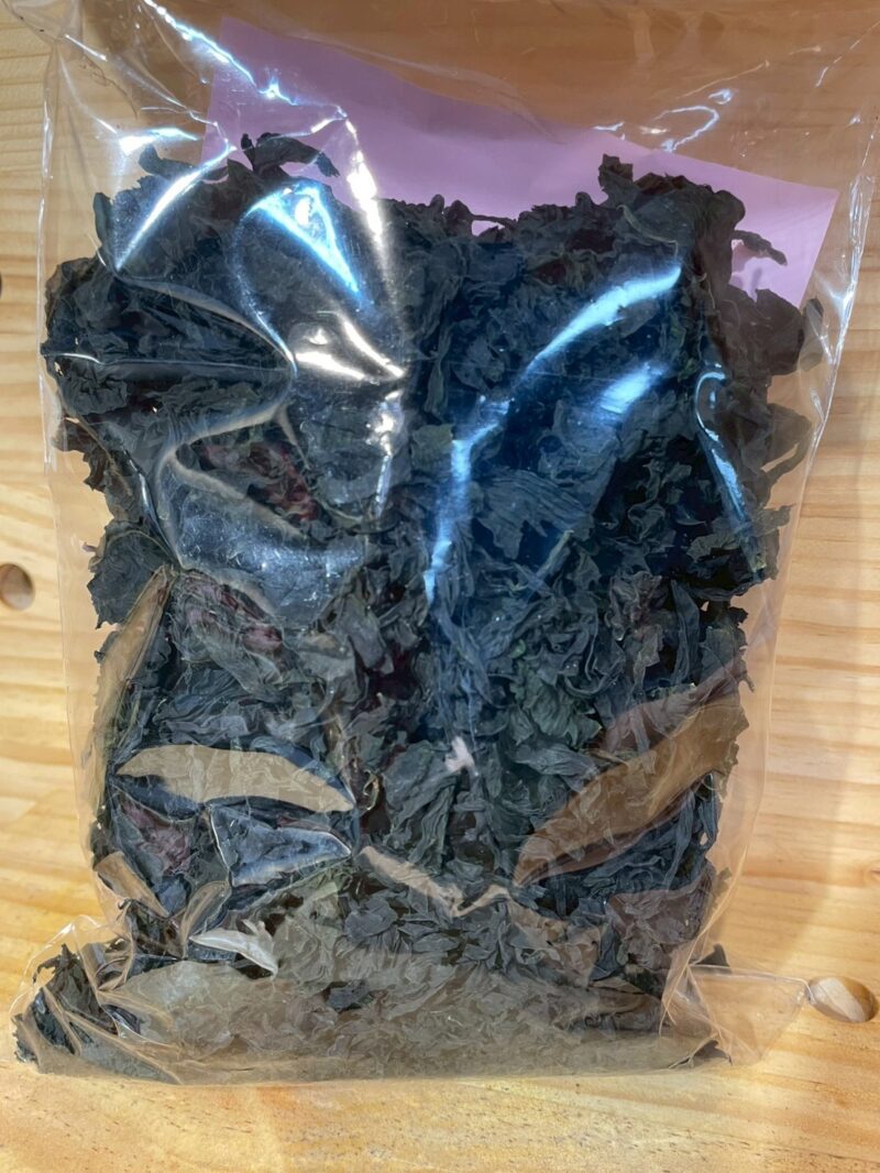 天然海帶芽
